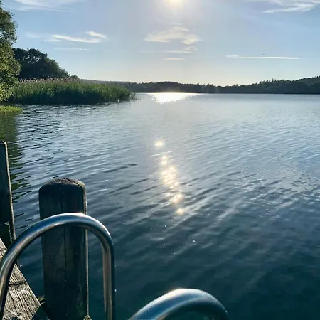 Stylish 70's With Forest And View In Ry 瑞伊